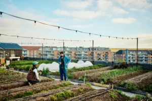 How to Do Urban Farming