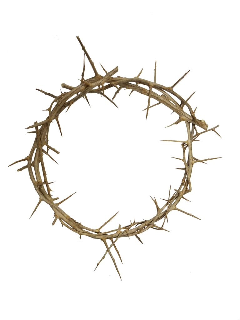 Crown of Thorns