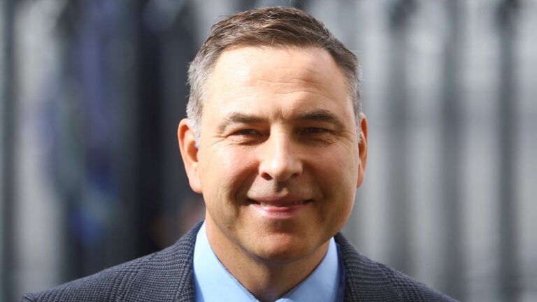 David Walliams Net Worth