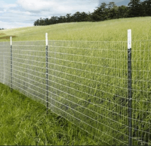 Cost of Fencing a 50 by 100 Plot in Kenya