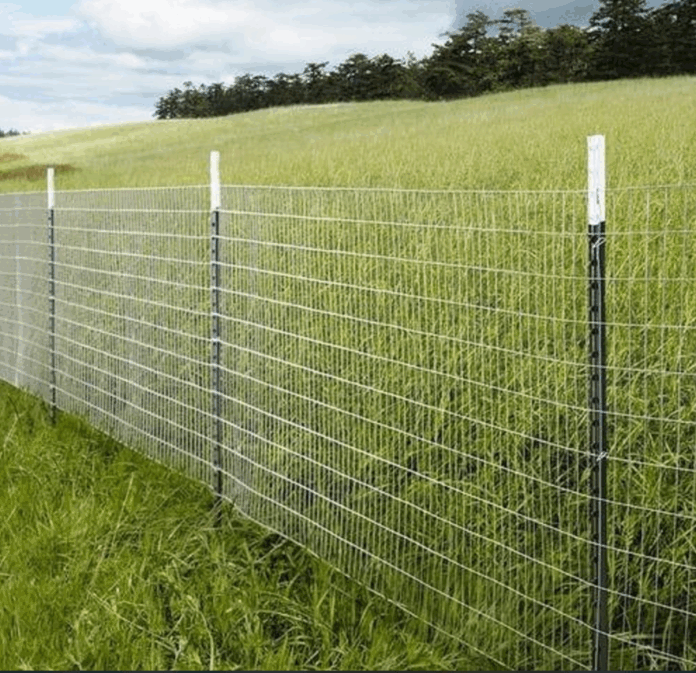 Cost of Fencing a 50 by 100 Plot in Kenya