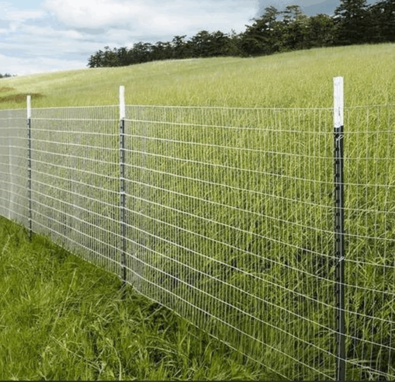 Cost of Fencing a 50 by 100 Plot in Kenya