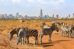 New Conservation Fees for Kenya’s Parks