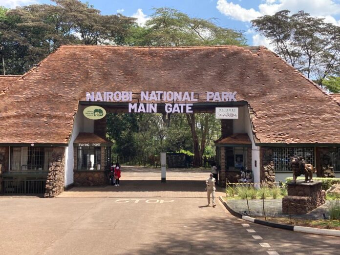 New Conservation Fees for Kenya’s Parks to Start in October 2025