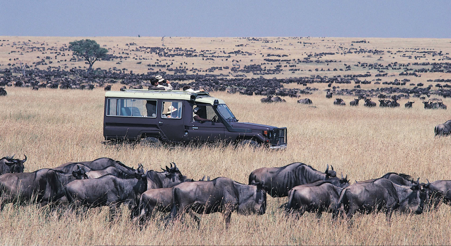 Maasai Mara