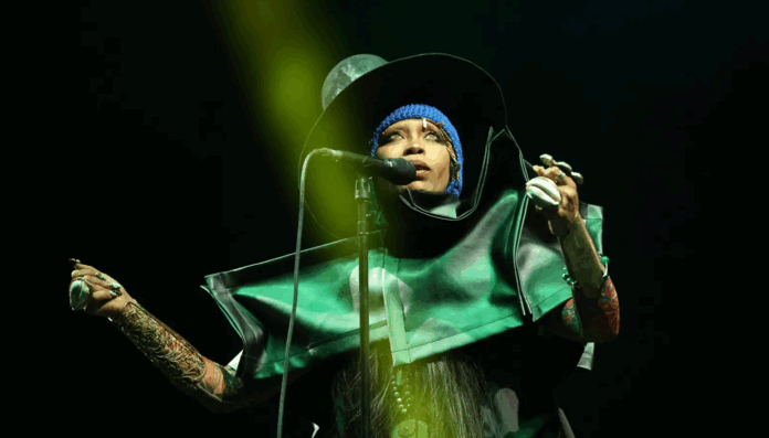 Erykah Badu Stops show viral video