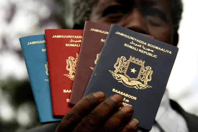 Somalia’s New E-Visa System