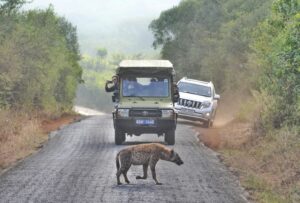 599838142_1264798549014036_856729751561382558_n