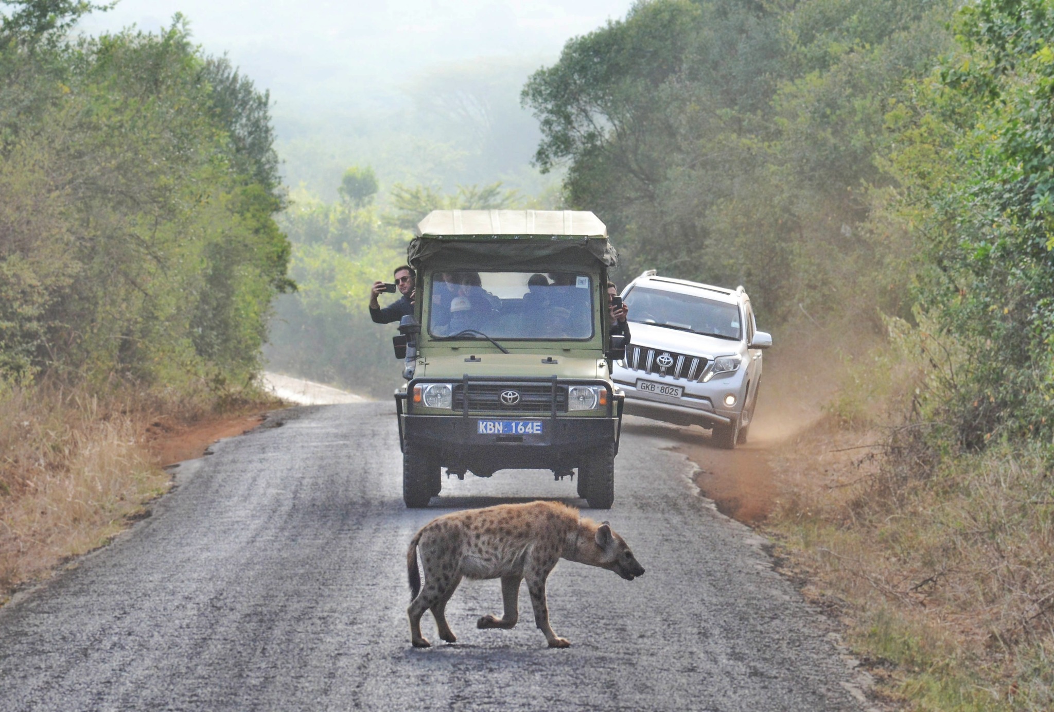 599838142_1264798549014036_856729751561382558_n