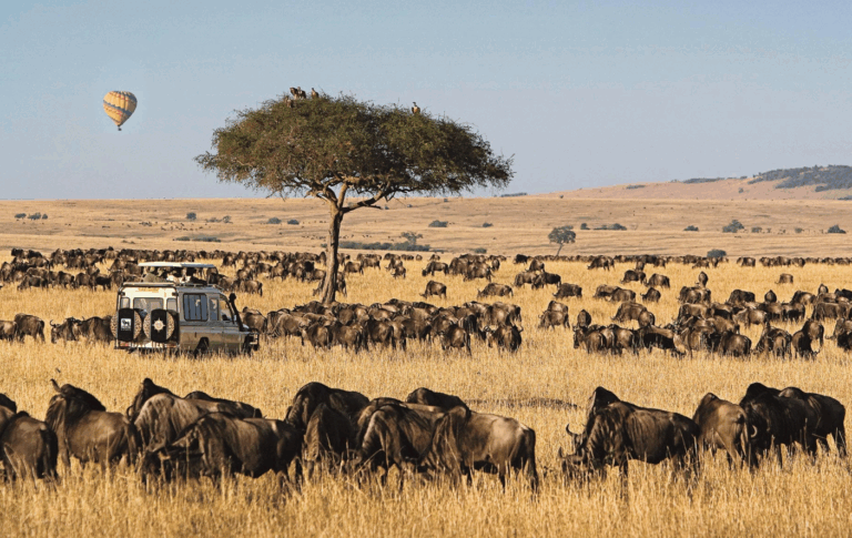 Best Places to Visit in Kenya in December