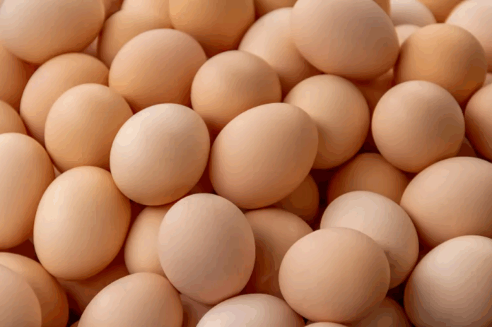 California Egg Recall