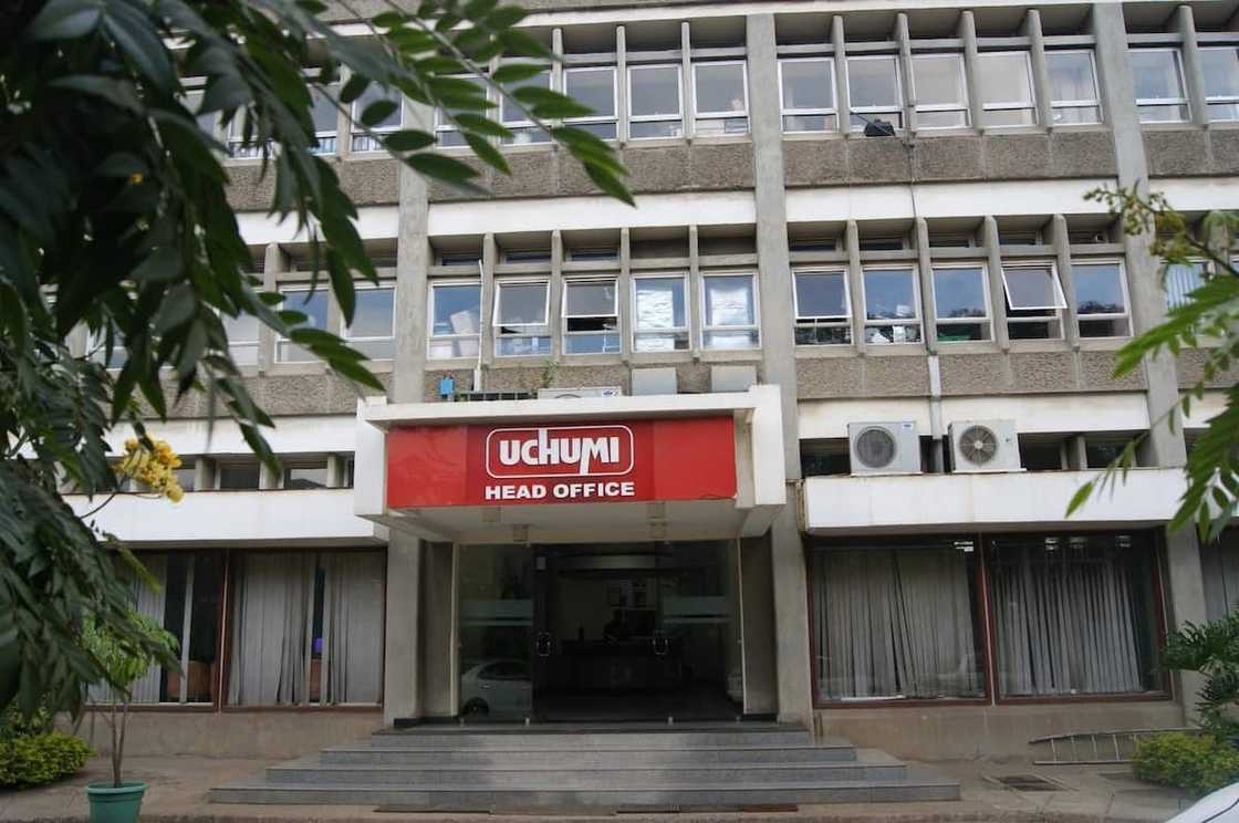 Uchumi House in Nairobi CBD Put Up for Sale at Sh562.5 Million