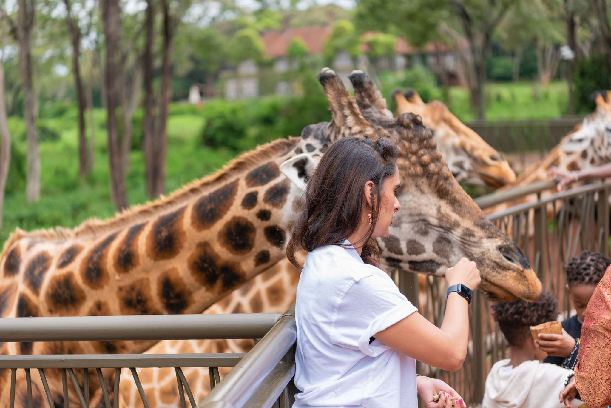 Giraffe Centre