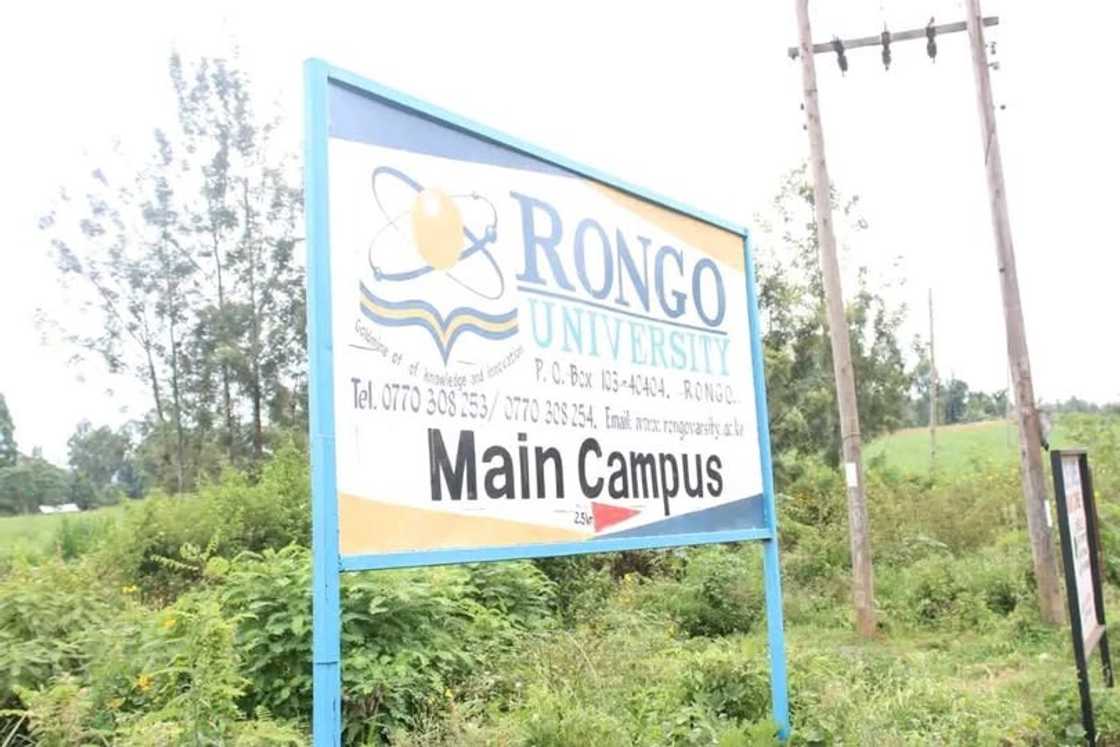 Ruto Appoints Dr John Mosonik as Rongo University Chancellor