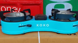 Koko Networks Shuts Down Operations, Lays Off 700 Workers After Carbon Credit Block