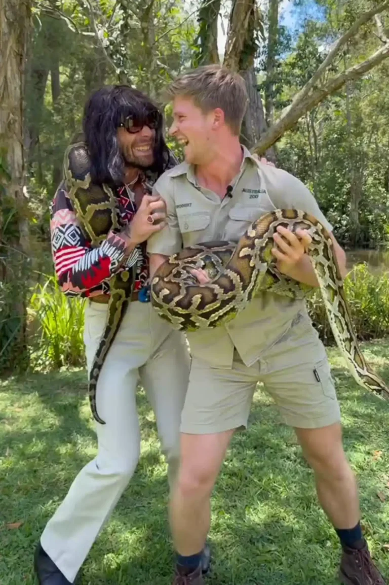 Mr. Fantasy in Australia Zoo Viral video