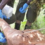 670485763_1363005152526708_593698125945545197_n