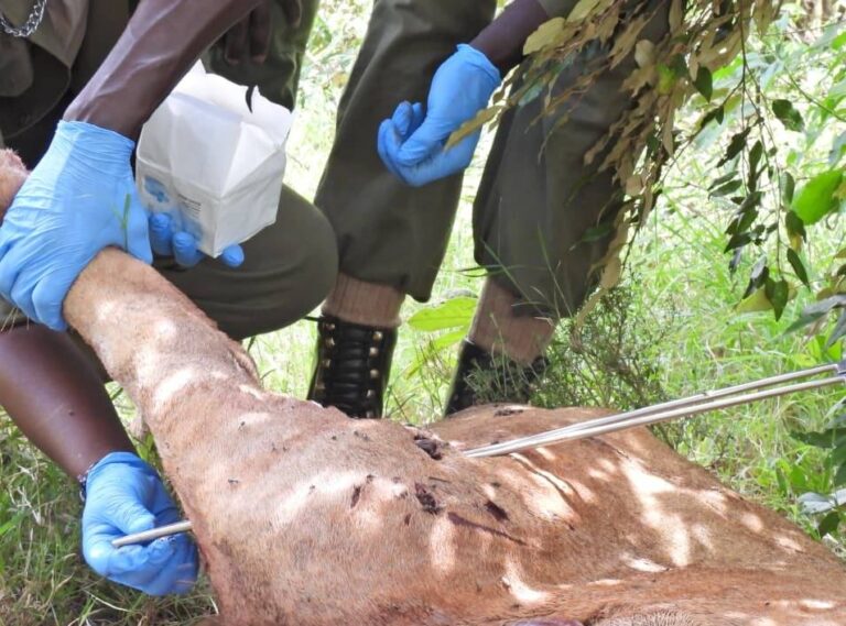 670485763_1363005152526708_593698125945545197_n