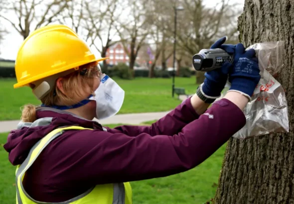 Scientists use tree bark to trace air pollution