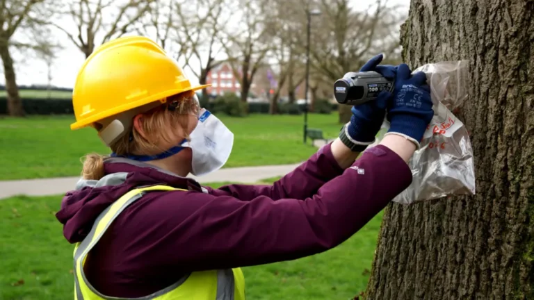Scientists use tree bark to trace air pollution