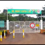 Del Monte Kenya contributes Sh100bn to economy over two decades