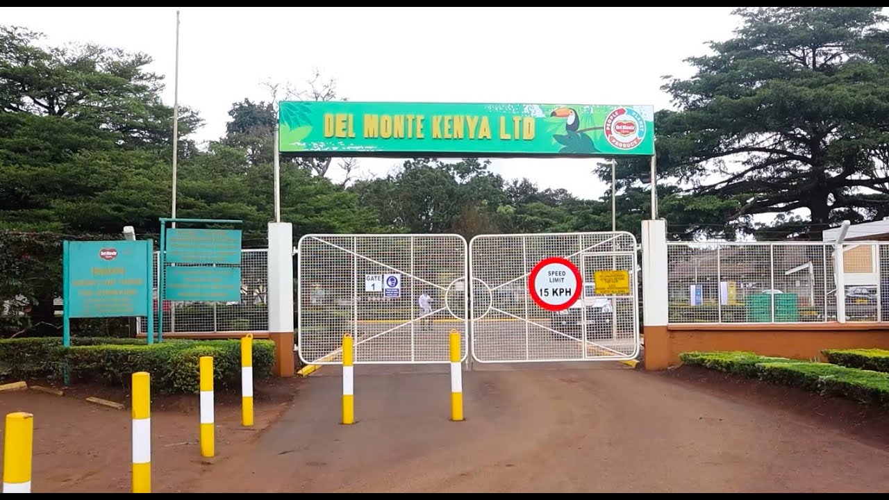 Del Monte Kenya contributes Sh100bn to economy over two decades